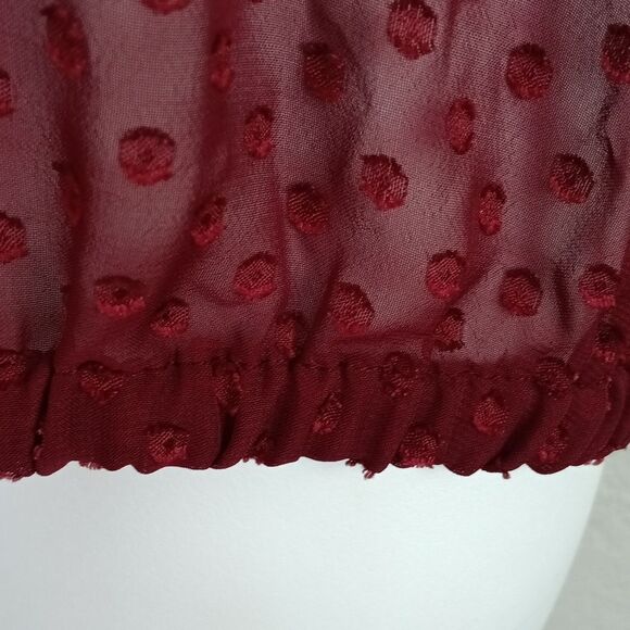 The Limited Women Burgundy Sheer Poka Dot Long Sleeve Top Sz M - Picture 6 of 11
